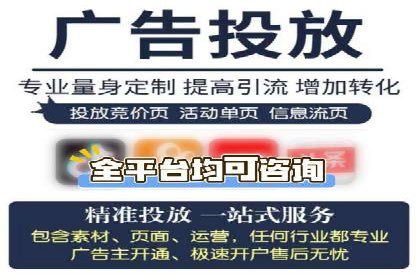 百度竞价与搜索引擎优化（SEO）的协同效应案例